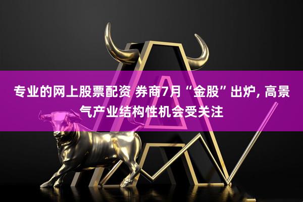 专业的网上股票配资 券商7月“金股”出炉, 高景气产业结构性机会受关注