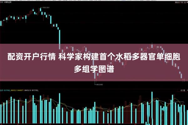 配资开户行情 科学家构建首个水稻多器官单细胞多组学图谱
